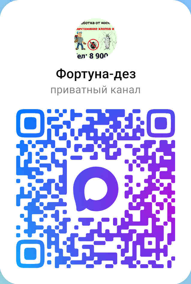 Фортуна-дез